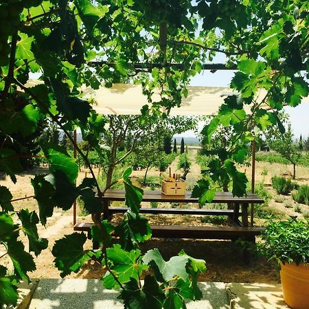 El Recer De Masia Serra Cantallops Екстер'єр фото