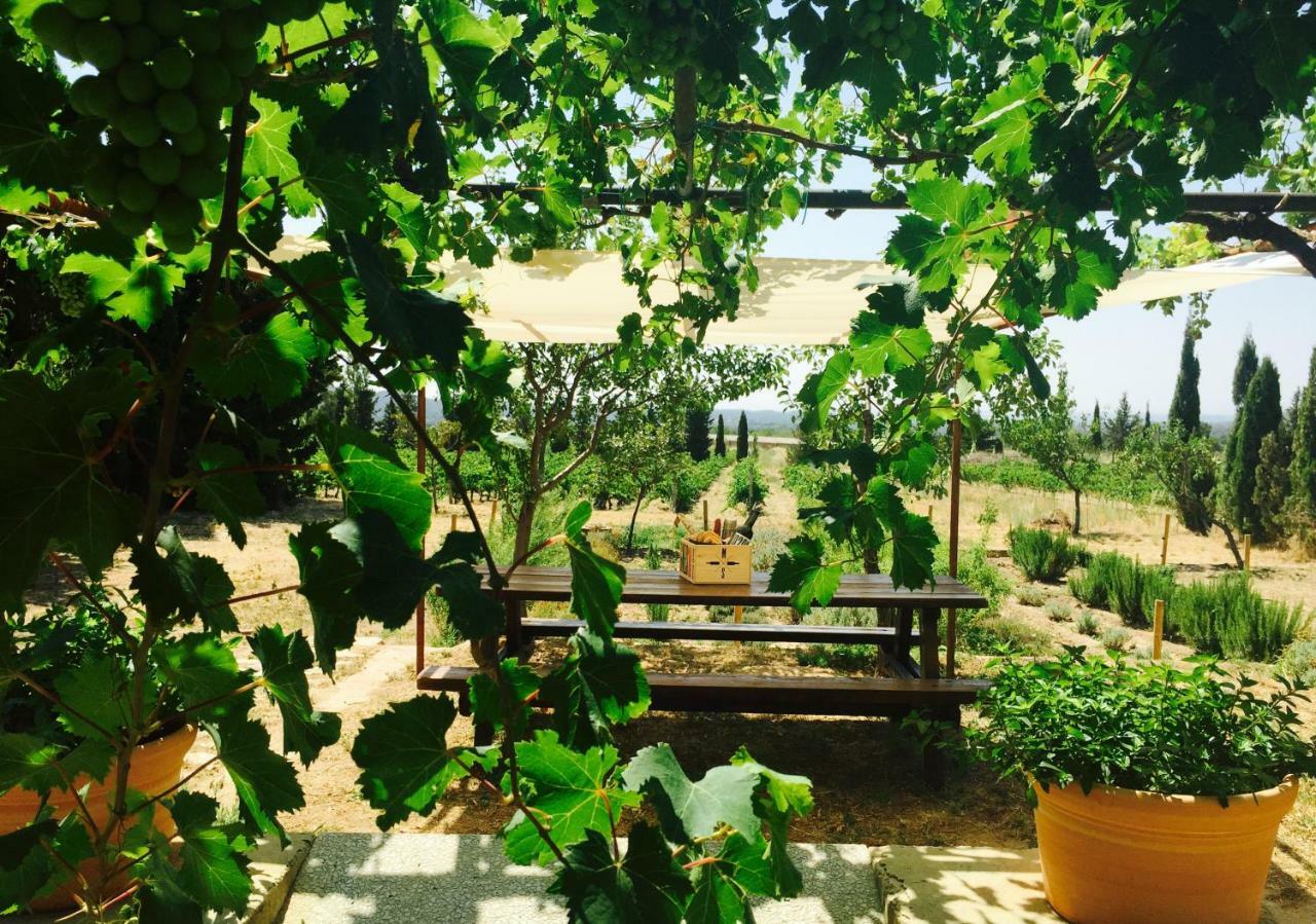 El Recer De Masia Serra Cantallops Екстер'єр фото