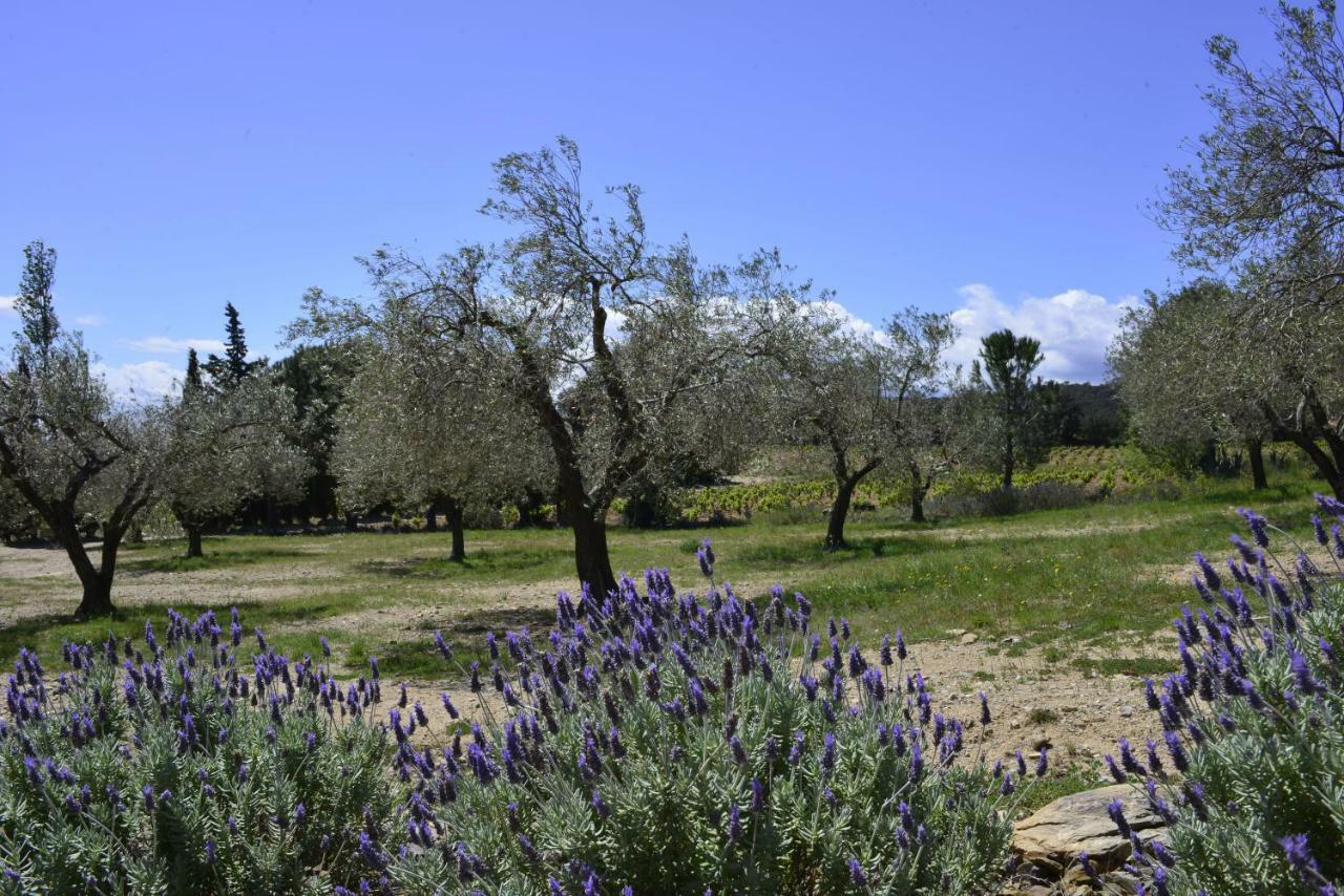 El Recer De Masia Serra Cantallops Екстер'єр фото