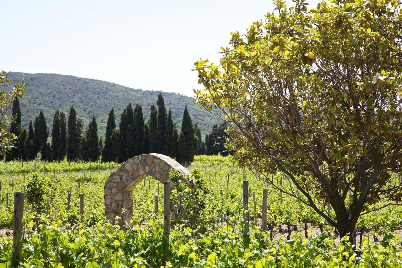 El Recer De Masia Serra Cantallops Екстер'єр фото